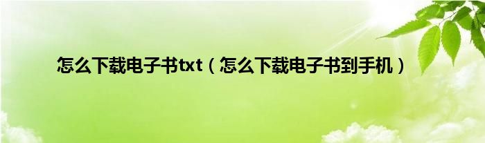 怎么下载电子书txt（怎么下载电子书到手机）