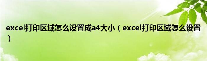 excel打印区域怎么设置成a4大小（excel打印区域怎么设置）