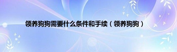 领养狗狗需要什么条件和手续（领养狗狗）