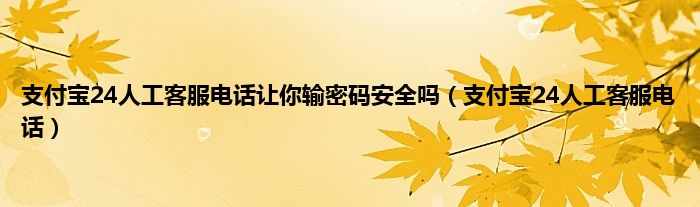 支付宝24人工客服电话让你输密码安全吗（支付宝24人工客服电话）