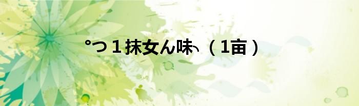 °つ１抹女ん味╮（1亩）