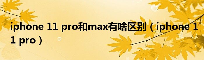 iphone 11 pro和max有啥区别（iphone 11 pro）