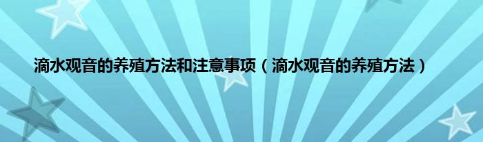 滴水观音的养殖方法和注意事项（滴水观音的养殖方法）