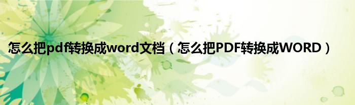 怎么把pdf转换成word文档（怎么把PDF转换成WORD）