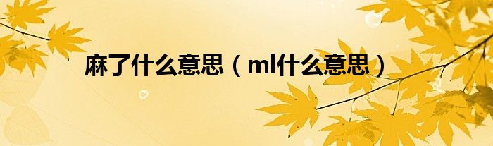 麻了什么意思（ml什么意思）