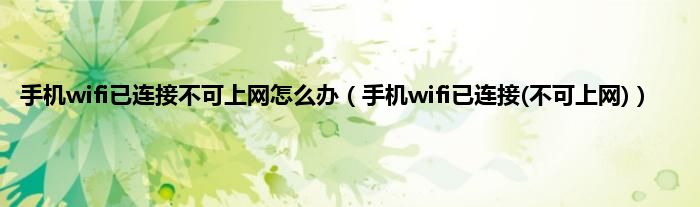 手机wifi已连接不可上网怎么办（手机wifi已连接(不可上网)）