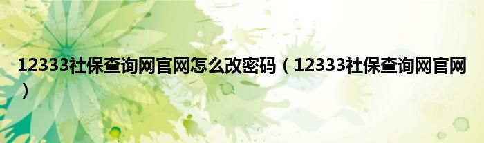 12333社保查询网官网怎么改密码（12333社保查询网官网）