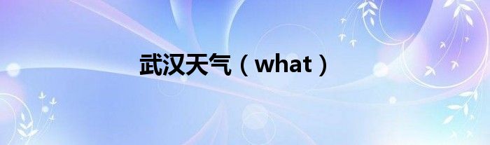 武汉天气（what）