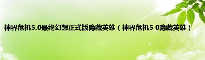 神界危机5.0最终幻想正式版隐藏英雄（神界危机5 0隐藏英雄）