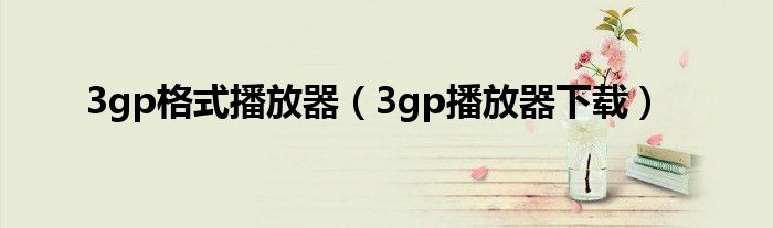 3gp格式播放器（3gp播放器下载）