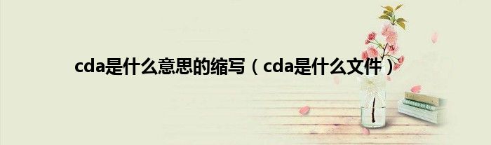 cda是什么意思的缩写（cda是什么文件）