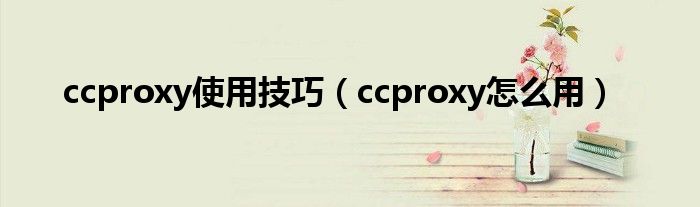 ccproxy使用技巧（ccproxy怎么用）