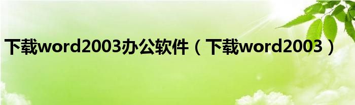 下载word2003办公软件（下载word2003）