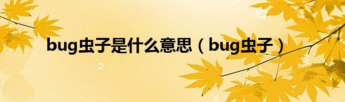 bug虫子是什么意思（bug虫子）