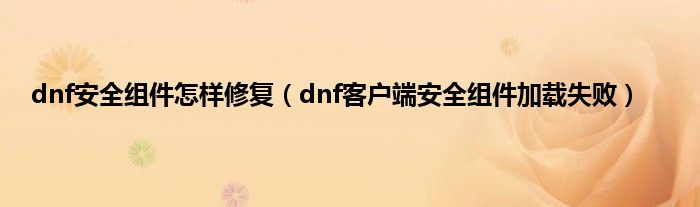 dnf安全组件怎样修复（dnf客户端安全组件加载失败）