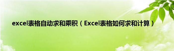 excel表格自动求和乘积（Excel表格如何求和计算）