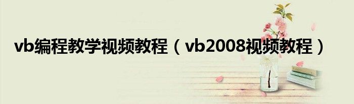 vb编程教学视频教程（vb2008视频教程）