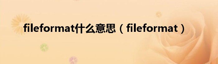 fileformat是什么意思（fileformat）