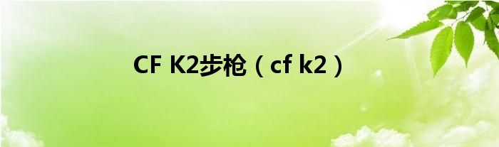 CF K2步枪（cf k2）