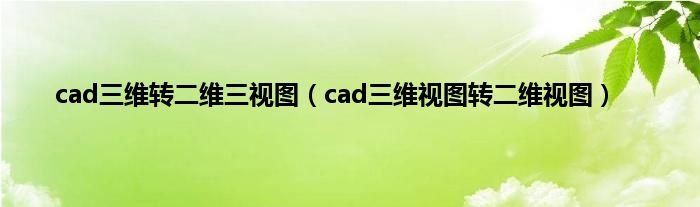 cad三维转二维三视图（cad三维视图转二维视图）