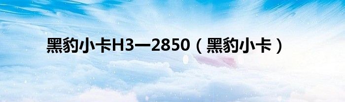 黑豹小卡H3一2850（黑豹小卡）