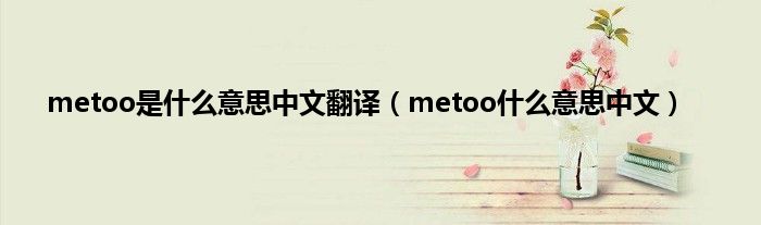 metoo是是什么意思中文翻译（metoo是什么意思中文）