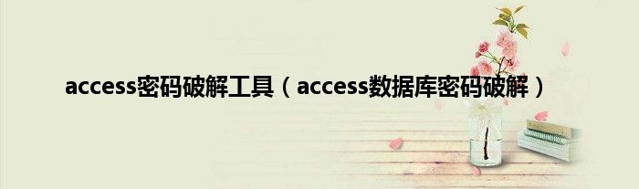 access密码破解工具（access数据库密码破解）