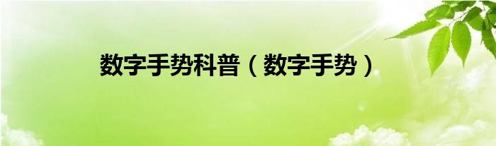 数字手势科普（数字手势）