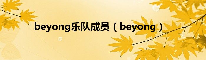 beyong乐队成员（beyong）