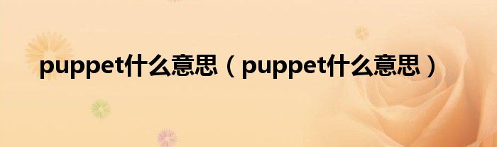 puppet是什么意思（puppet是什么意思）