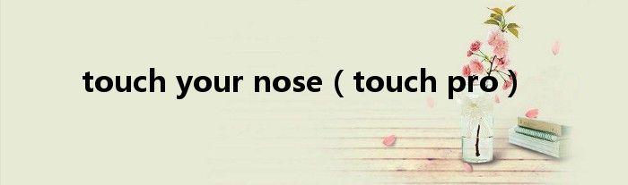 touch your nose（touch pro）