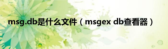 msg.db是是什么文件（msgex db查看器）