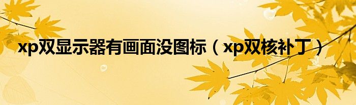 xp双显示器有画面没图标（xp双核补丁）