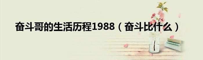 奋斗哥的生活历程1988（奋斗比是什么）