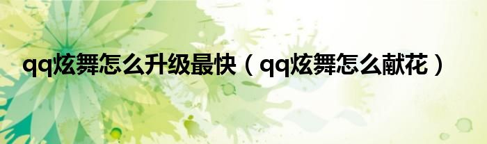 qq炫舞怎么升级最快（qq炫舞怎么献花）