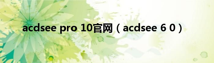 acdsee pro 10官网（acdsee 6 0）