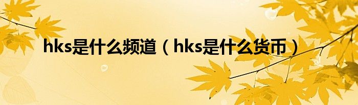 hks是是什么频道（hks是是什么货币）