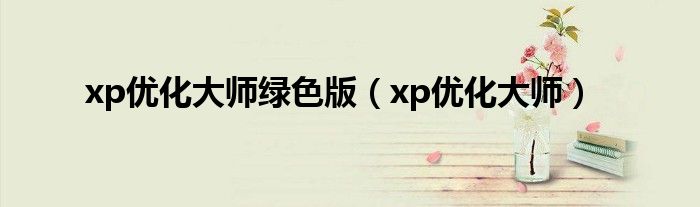 xp优化大师绿色版（xp优化大师）