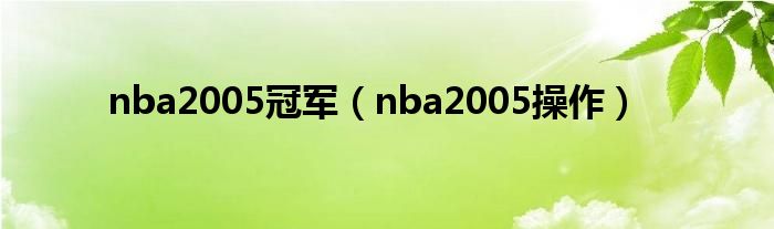 nba2005冠军（nba2005操作）