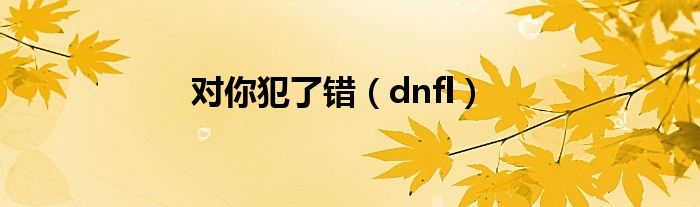 对你犯了错（dnfl）