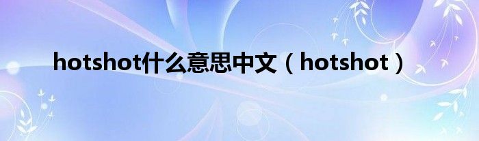 hotshot是什么意思中文（hotshot）