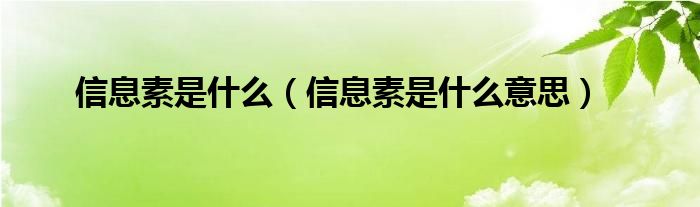 信息素是是什么（信息素是是什么意思）