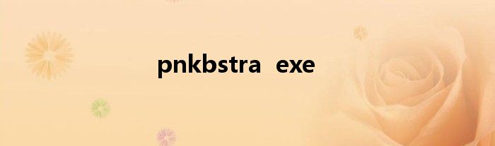 pnkbstra  exe