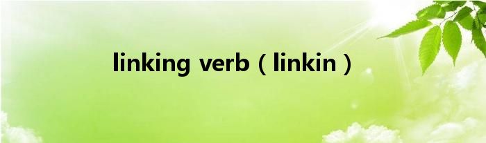 linking verb（linkin）