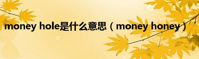 money hole是是什么意思（money honey）