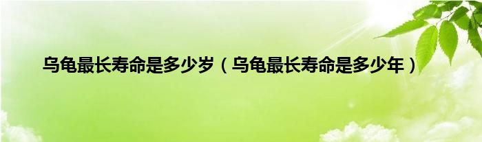 乌龟最长寿命是多少岁（乌龟最长寿命是多少年）