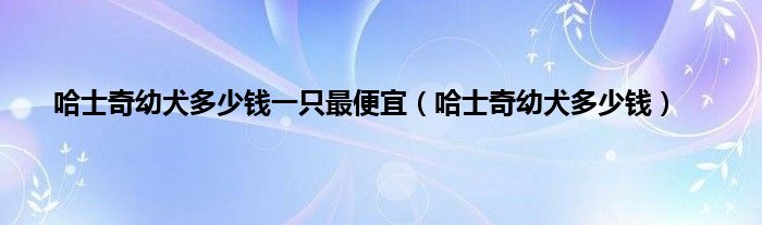 哈士奇幼犬多少钱一只最便宜（哈士奇幼犬多少钱）