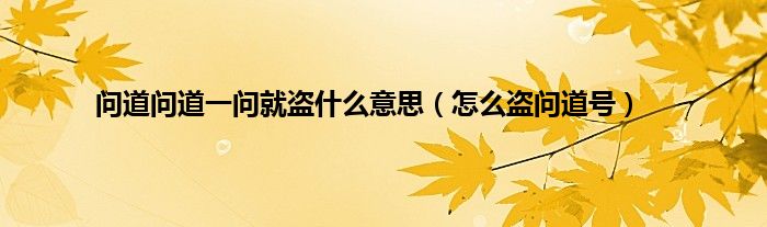 问道问道一问就盗是什么意思（怎么盗问道号）