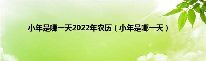 小年是哪一天2022年农历（小年是哪一天）