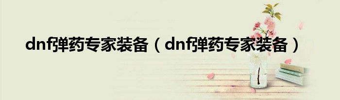 dnf弹药专家装备（dnf弹药专家装备）